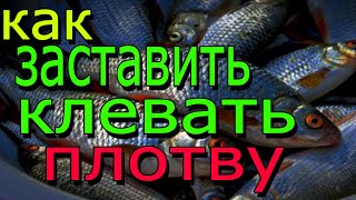 При какой температуре зимняя рыбалка