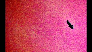 Willie Nelson & Hank Snow - "I'm Movin' On"