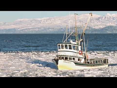 boat sailing through icy water