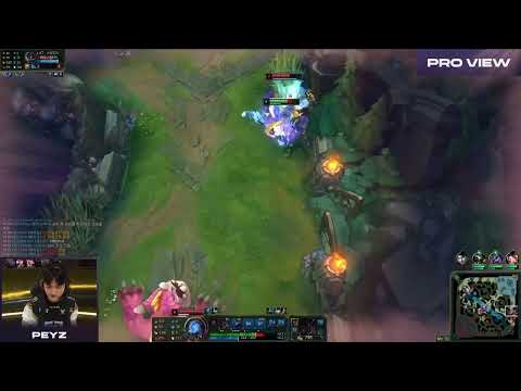Peyz Ashe Pro View | GENG vs NS | LCK 2024 Summer W9D3