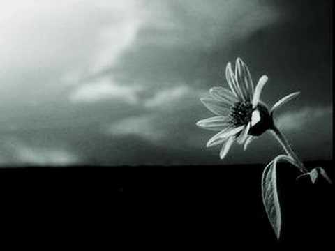 Loverush Ft. Shelley H - Different World [Mandy Reid Remix]