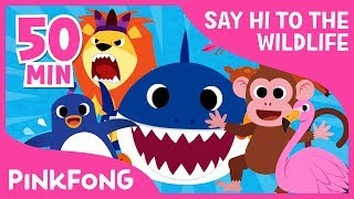 Welcome to Safari | Animal Songs | + Compilation | Pinkfong Songs for Children
