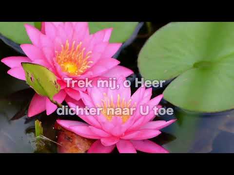 Opwekking 598 Machtige Heer