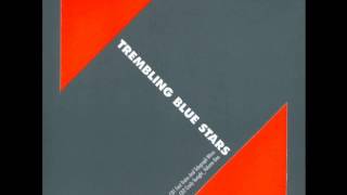 Trembling Blue Stars - The Imperfection of Memory