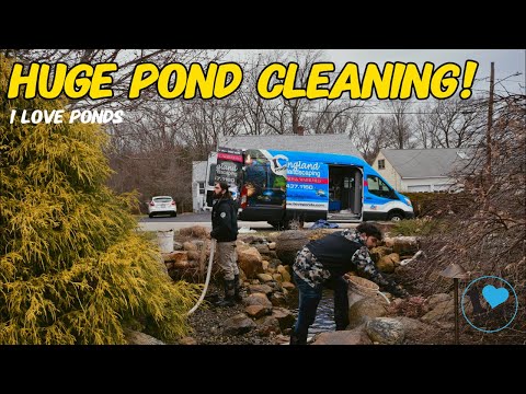 Building the ULTIMATE POND with the new crew!