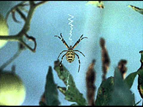 Moby - Jam For The Ladies (Miko Remix)