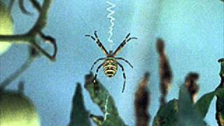 Moby - Jam For The Ladies (Miko Remix)