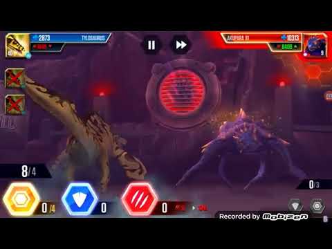 Akupara 81 boss lv1&2
