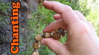 Can one go back to Godhead just by chanting without taking initiation?