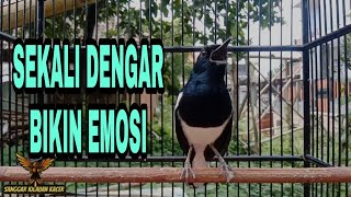 Download lagu CUKUP SEKALI PLAY KACER LAIN LANGSUNG KONSLET BONGKAR MATERI FULL mp3