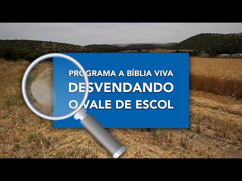 Desvendando o Vale de Escol no Programa a B&iacute;blia Viva - Not&iacute;cias de Israel - Cafetorah.com