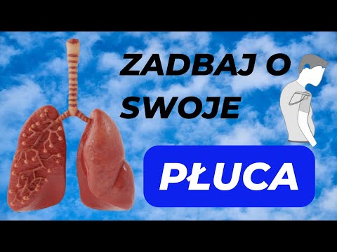 Płuca - budowa, funkcje, zalecenia i ich związek smutkiem🤗