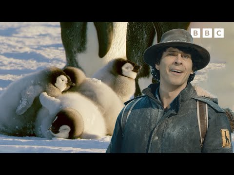 Andy and the Emperor Penguins | Andy's Global Adventures | Andy's Amazing Adventures