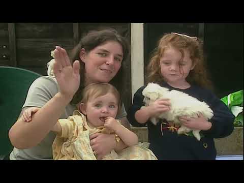 Teletubbies Series 13, Episode 6: Puppies