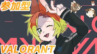 【VALORANT / コンペ参加型】ブロンズ以上から参加可