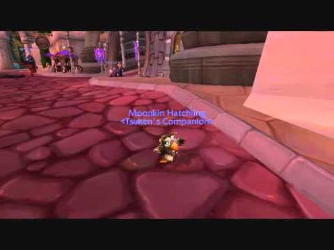 Steam Community :: Video :: Lil' Ragnaros + Moonkin Hatchling (Both ...