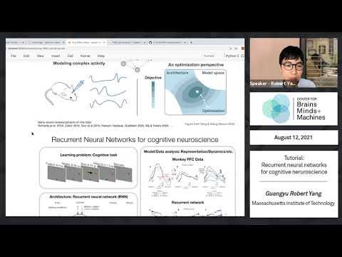 Tutorial: Recurrent neural networks for cognitive neuroscience