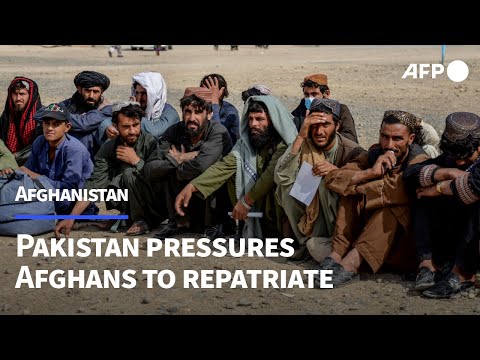 Video Thumbnail: Afghans depart Pakistan under repatriation pressure | AFP