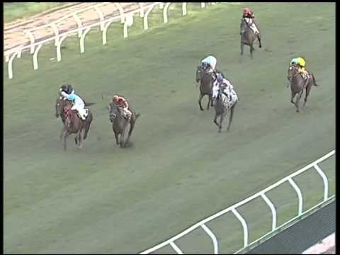 Galoppo 30/01/2015 - 4° corsa