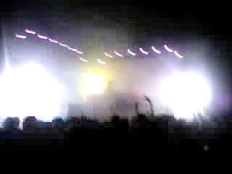 Paranormal Live (chihuahua)