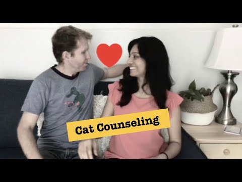 Pixie Tales Episode 4: Cat Counseling