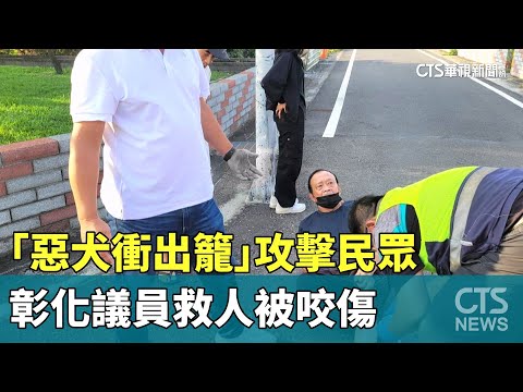 嚇！「惡犬衝出籠」攻擊民眾　彰化議員救人被咬傷