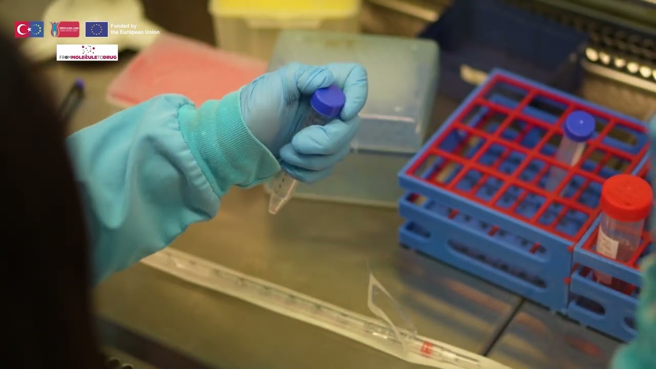 Apoptoz Analizi-1 / Apoptosis Analysis-1