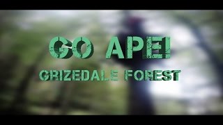 preview picture of video 'Go Ape! Grizedale Forest'