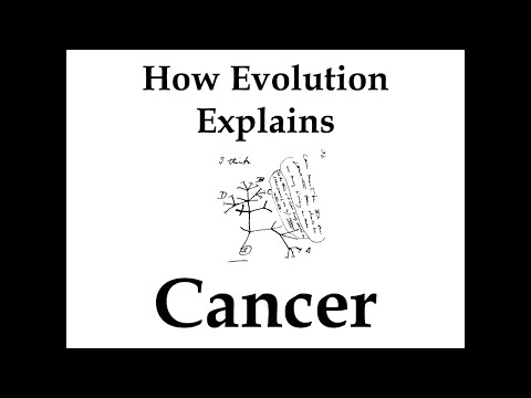 How Evolution Explains Cancer