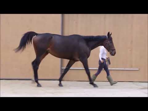 HOCKNEY VALLIS, notre AQPS au grand cœur