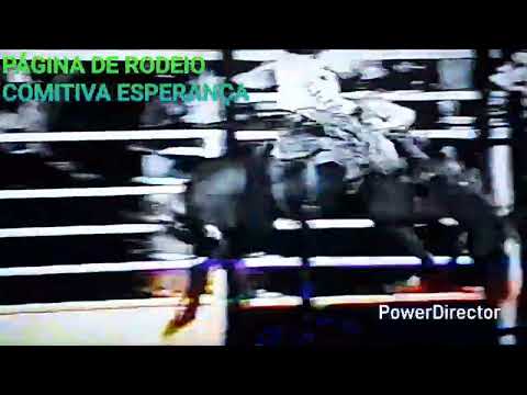 SANSÃO SILVA MENEZES,  JALES 95 IMAGENS LANSONI VÍDEO