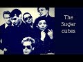 The Sugarcubes | «Dear plastic» [Subtitulado cc]