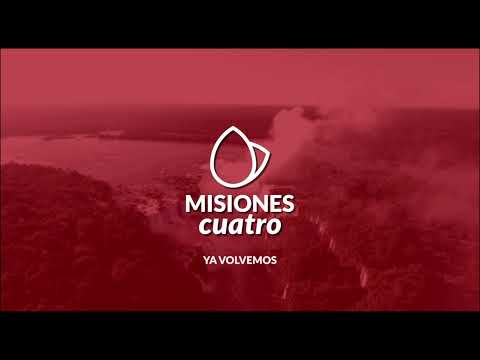 [EN VIVO] Misiones Cuatro, todas las noticias de Misiones, Argentina y el Mundo