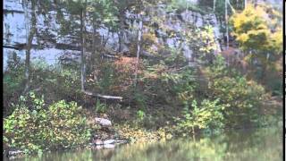 preview picture of video 'Canoeing on the Kentucky River 10/23/11'