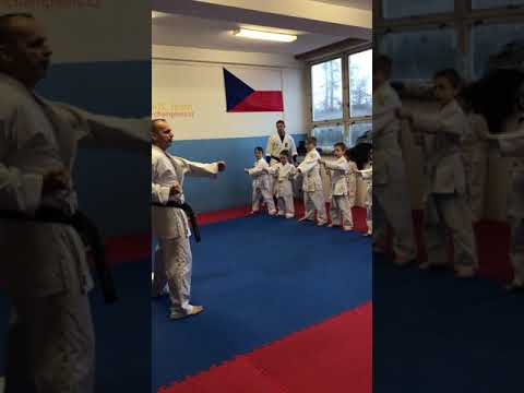 Matysek karate