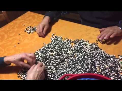 I Fasoli a Badda, Polizzi Generosa