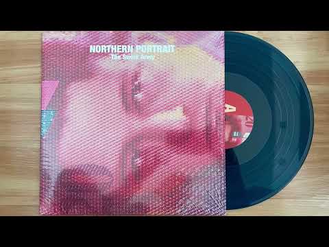 Northern Portrait - Nineties Survivor (2022) (Audio)