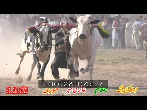 Part 2 | Ghazi Nher |31.10.2021