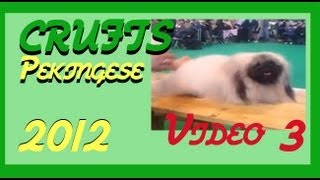 preview picture of video 'Crufts 2012 Pekingese Judging. Part 3/4'