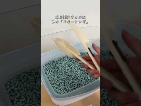 驚くべき発見: 猫砂が気候変動対策に役立つ可能性がある