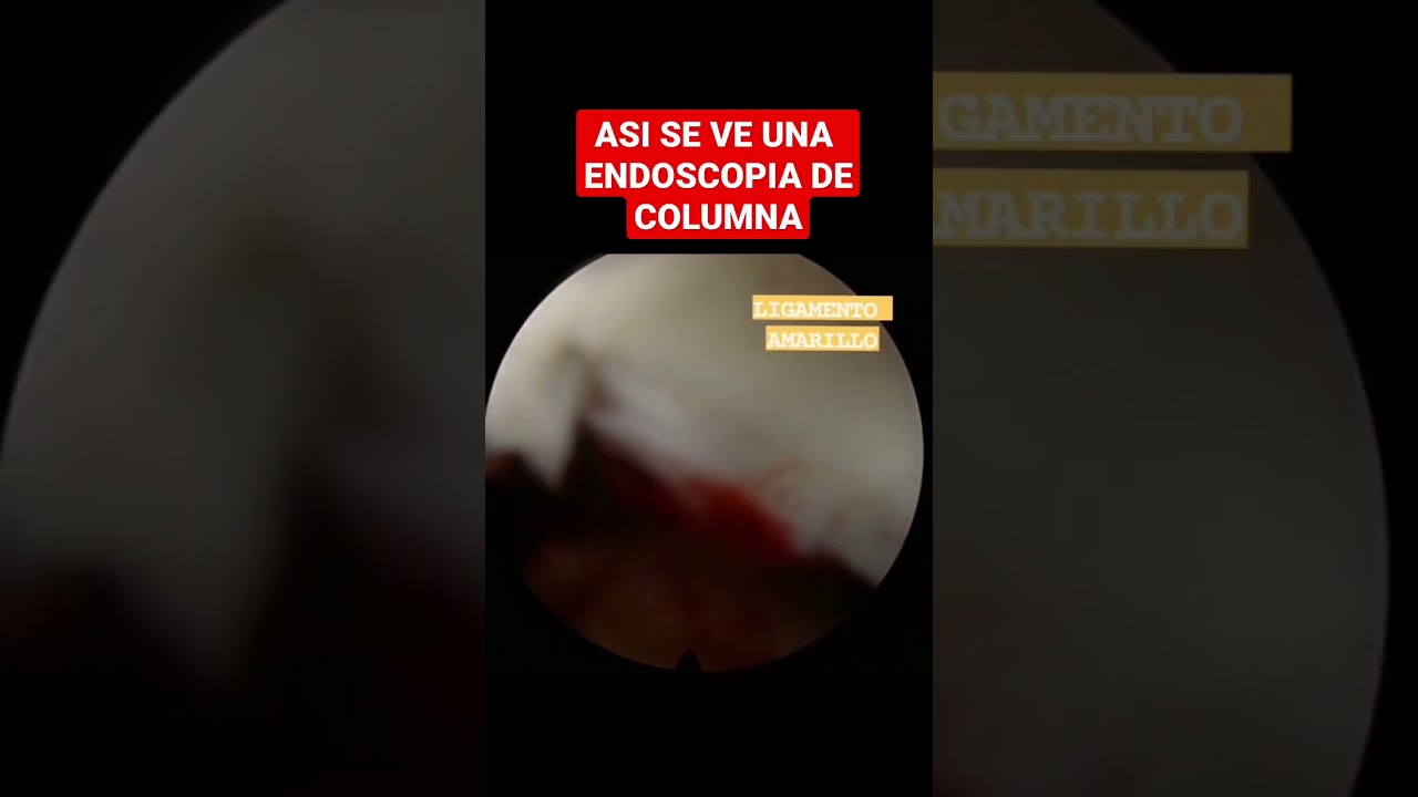 Francisco Javier Cisneros Oliva-14