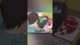 Essa gatinha não quer deixar seu dono trabalhar no notebook
