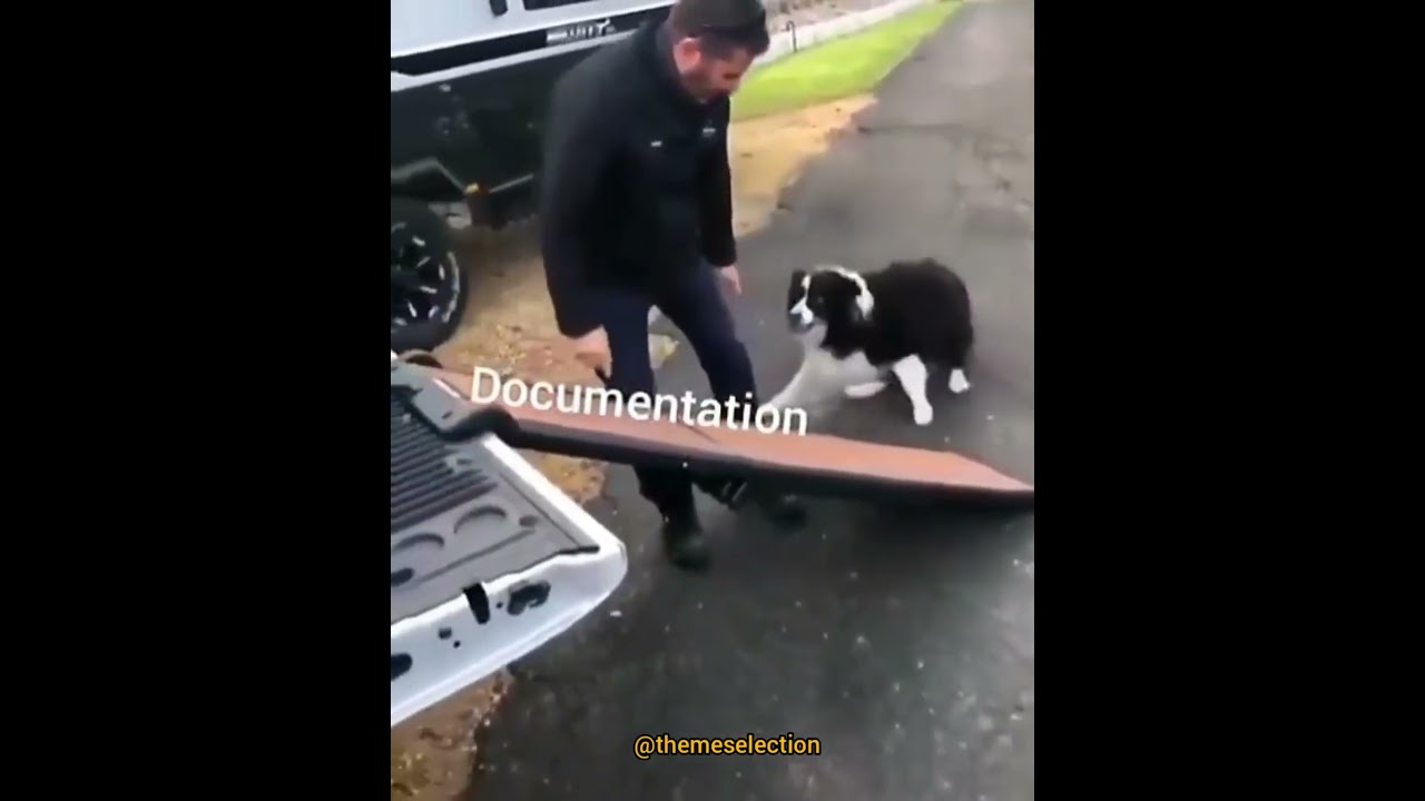 Programming Documentation vs Me 😅 #developermemes #relatablememes #funny #codingmemes #tester