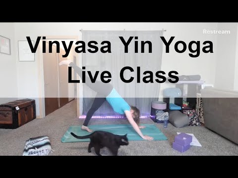 Vinyasa Yin Yoga Fusion | 60-minute LIVE yoga class!