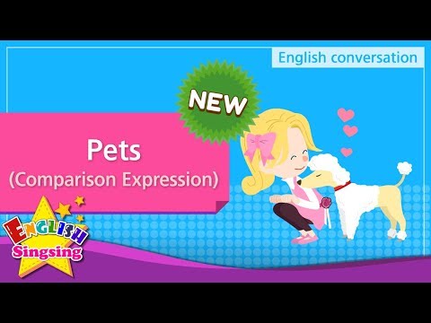 Pets And Adjectives