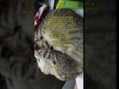 Ipapakapon na si J🤣