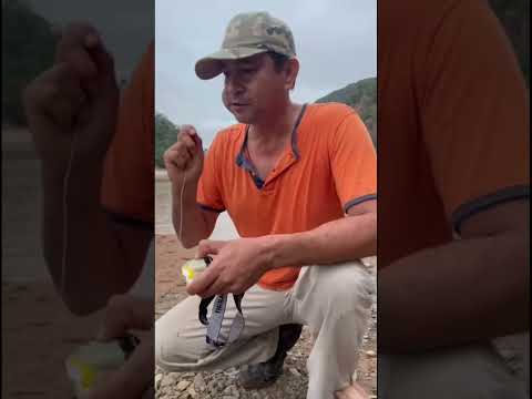 Pesca en Beni Rurrenabaque bolivia #pesca