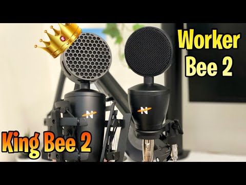 Neat King Bee II and Worker Bee II Microphone Review and Test