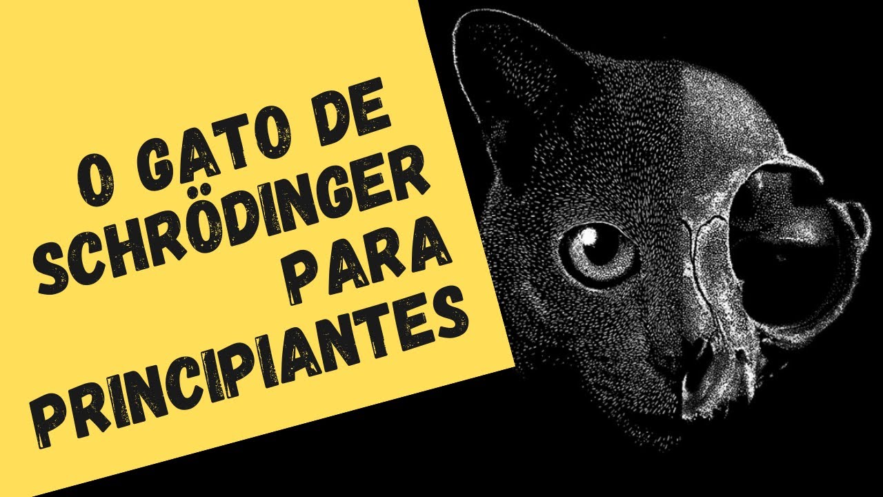 ENTENDA/NÃO ENTENDA O GATO DE SCHRÖDINGER (Física Quântica para principiantes - 8)