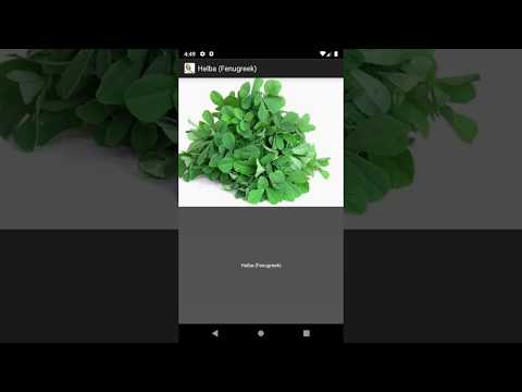 Islamic Medicine Video